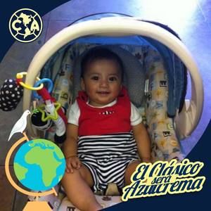 Meet your Posher, Luis armando